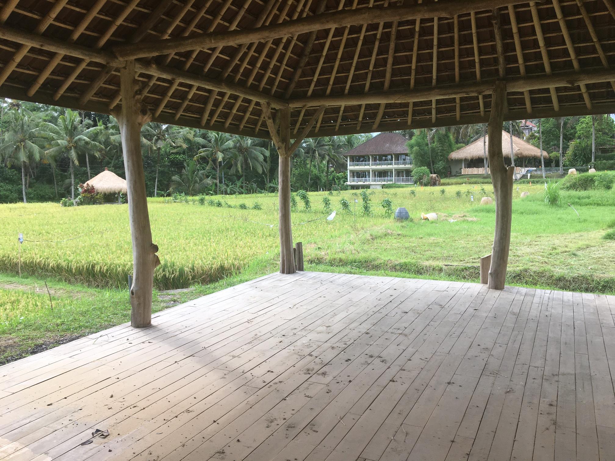 Mathis Retreat Ubud מראה חיצוני תמונה